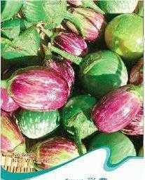 销售蔬菜种子 蔬菜种子 彩茄种子 茄子种子_农副产品